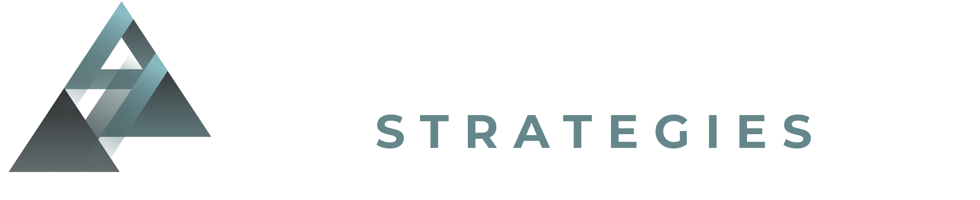 Ara Corporate Strategies